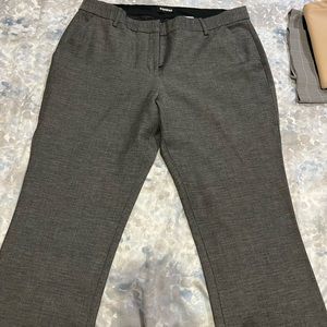 Express Dress Pants 14 Long